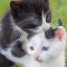 eetje5's profile picture. 