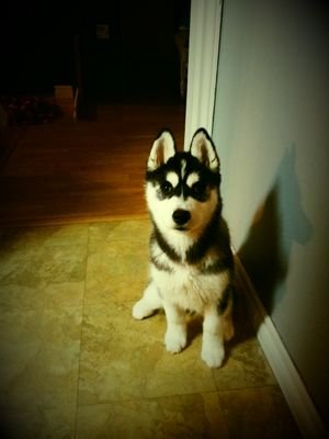 Trov6687's profile picture. 