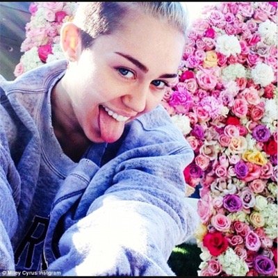miley cyrus fans
