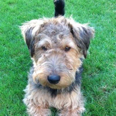 Tanandblack's profile picture. 