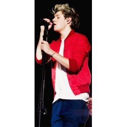 Hey,I'm a directioner. They're my life and one day I hope that I'll hug them.
