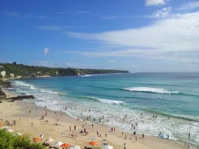 salimteddy's profile picture. 