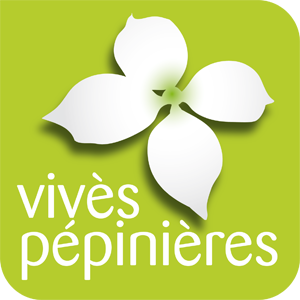 Vente de végétaux - Spécialiste des Cornouillers à fleurs et Erables du Japon Aménagements paysagers - Garlin au nord de Pau (64)