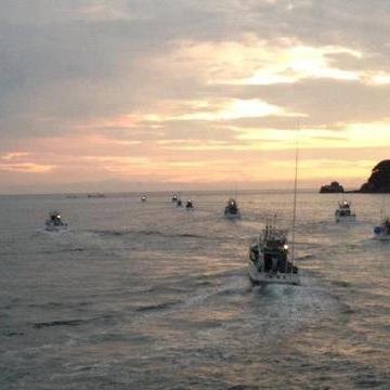 Newspaper run by animal activists regarding the Dolphin Hunts in Taiji and also issues relating to Captivity