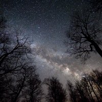 Sounds & Night Skies (@preservesounds) 's Twitter Profile