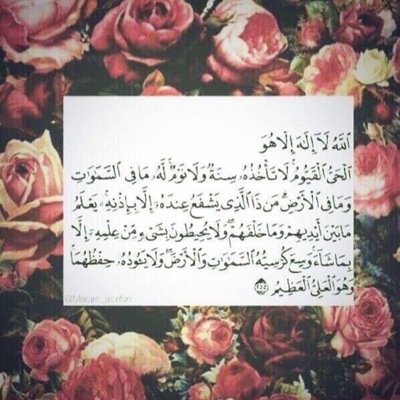 اللهم اجعله شفيعاً لي يوم القيامه  بعد رحيلي تبعثر بحسابي الى ⁦@Kings3660⁩