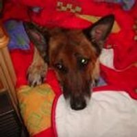 Ben Holburt (@bholburt) 's Twitter Profile