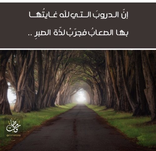 {كُنْ فِي الدُّنْيَا كَأَنَّكَ غَرِيبٌ أَوْ عَابِرُ سَبِيلٍ}.