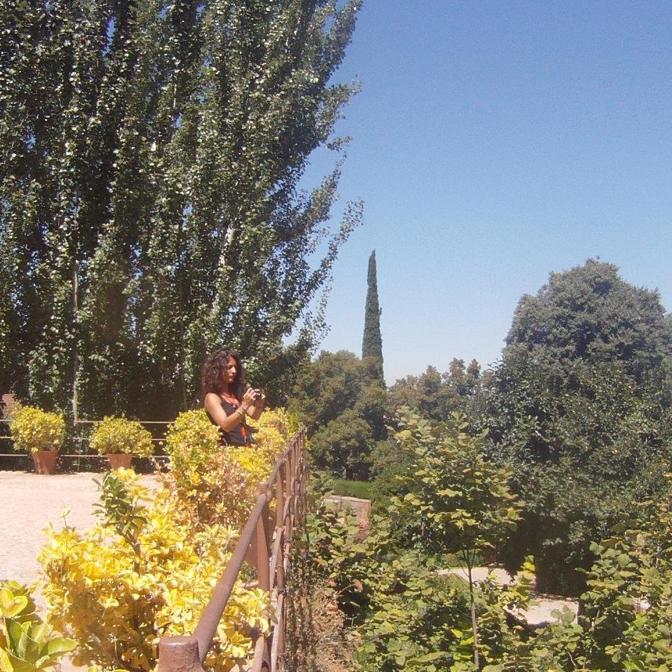 LudovicaDFelice's profile picture. 