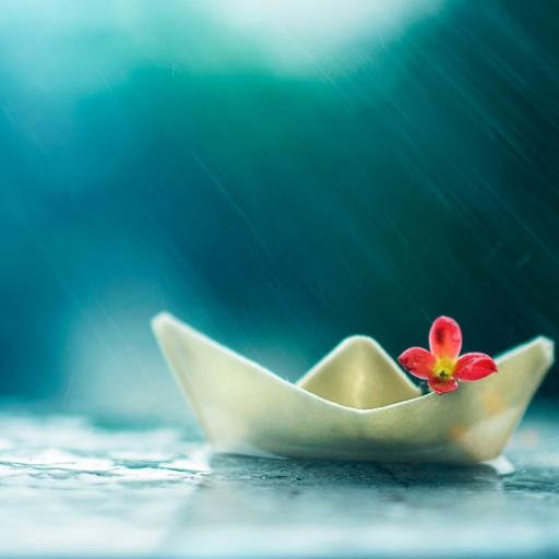 Siir_Ceketli's profile picture. Bizi bizden iyi bilirsin Rabbim... Bir masalı bir gerçeğe ansızın, Yalnız Sen döndürebilirsin Rabbim...