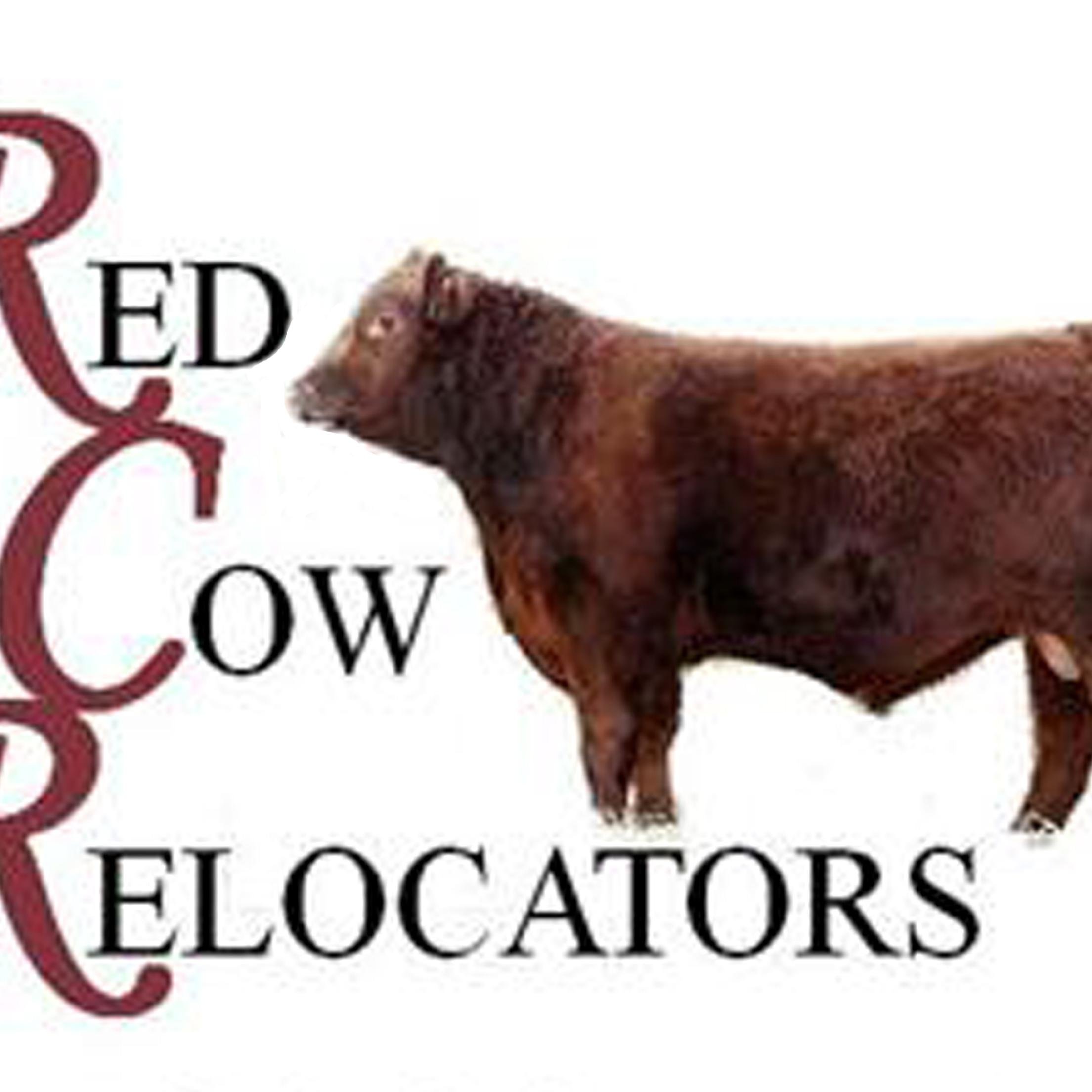 Professional Sales Management Specializing in the Promotion of Red Angus Genetics & Breeders!