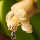 Gloria Hatten - @HoneyLabyrinth - Twitter