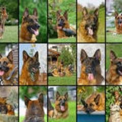 3192408727's profile picture. 