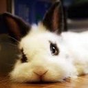 Cindy Chen - @xinyue_chen - Twitter