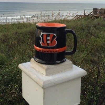 BengalsSnob Profile Picture