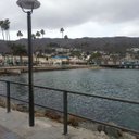 Steven Nunes - @steve57nunes - Twitter