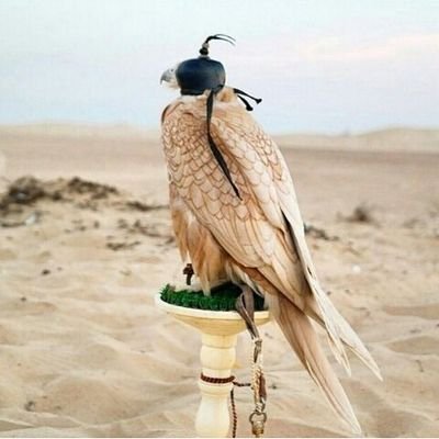 سبحان الله