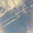 ChemtrailsWorld's profile image