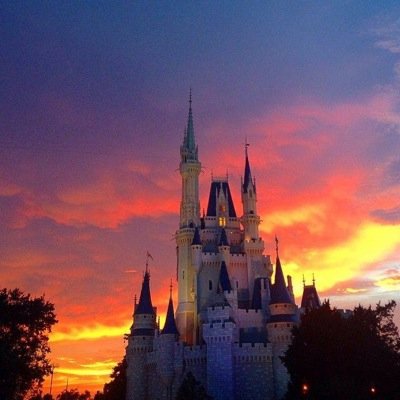 aamybarr3's profile picture. 