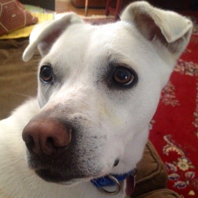 fastawesome's profile picture. 