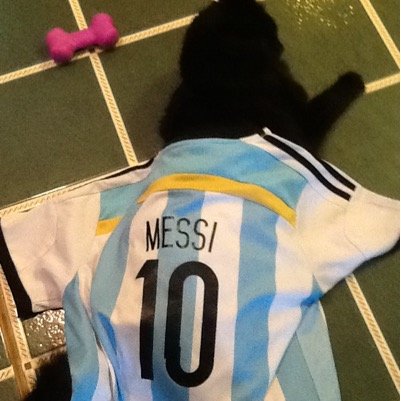 _CJason8_'s profile picture. 