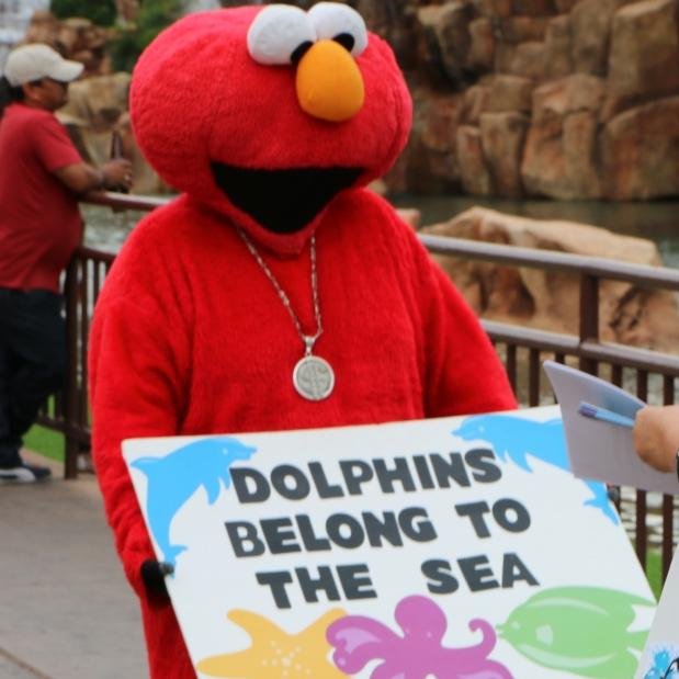 cetacean rights activist in las vegas!