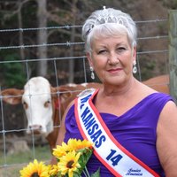 Vickie Welch (@vickiewelch6) 's Twitter Profile