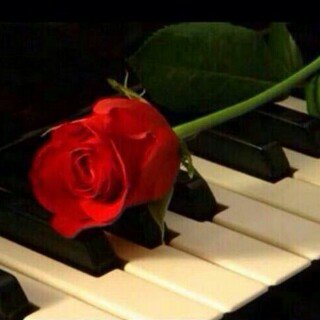 ‏‏‏‏نقاء السمّاء يُشبه قلّب أمِي كثِيرًا . الخاص ممنوع
