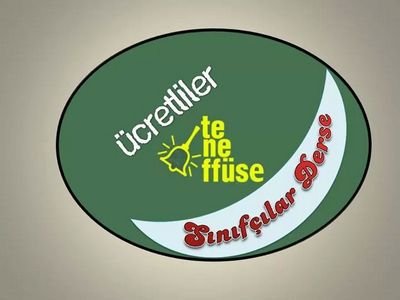 NPelitli91's profile picture. sınıf öğretmeni