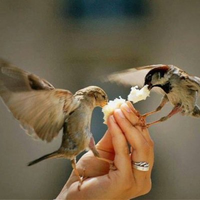 للتفاهم الخاصصص مفتوح