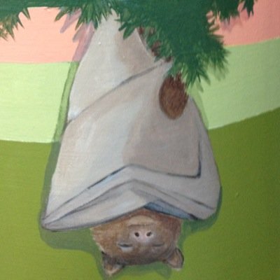 Bat lovin' elementary librarian in San Antonio,Texas.