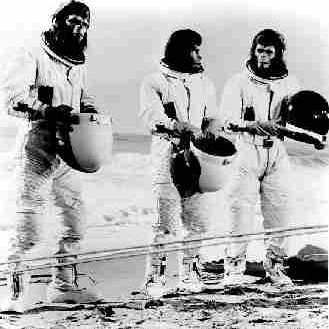 ApearmyDash's profile picture. 