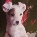 Lori Simms - @simmsloriann - Twitter