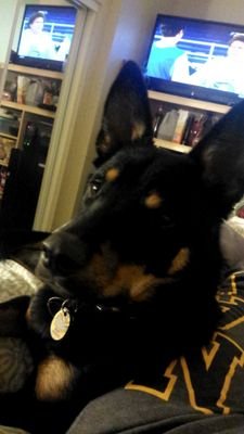 Rizbecca's profile picture. 