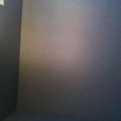 follow- @courtycat__
