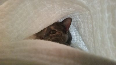 edsamanda8354's profile picture. 