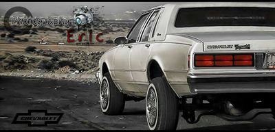 wildw73's profile picture. PIN7F915D17             اضافت بليز