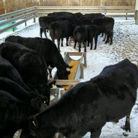 Dave Hyde (@dhydefarm) 's Twitter Profile