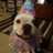 cooperdeeduper's profile image