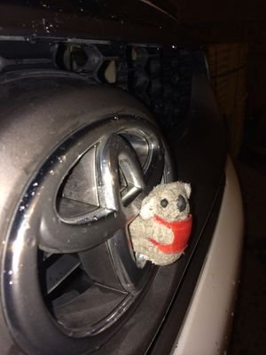 ALG3Ly1's profile picture. يامن اطلقت عليه لقب الحبيب ..يامن تمنيته قدرا ونصيب
لماذاحكمت علي بالضياع.. وتركت بداخلي قلبا للدنيا من غير وداع
هل حقا تريد فراقى..؟(اهداء خاص الى حبيب)