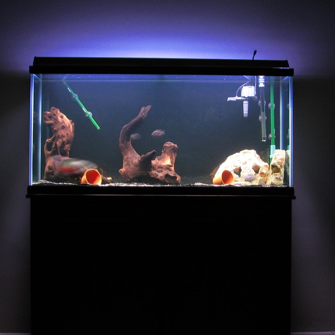 Everything you need to know about aquarium backgrounds and design!