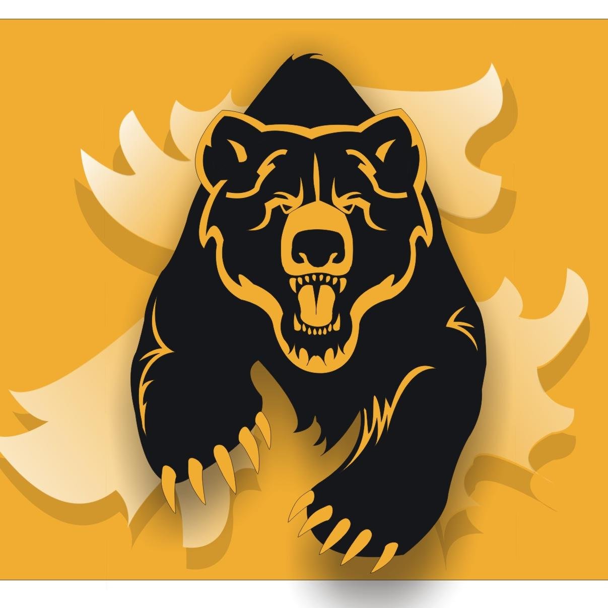 Official twitter account of the St. Brigid Bears sports teams.