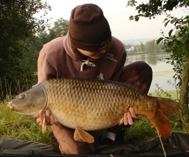 CheesemanRoss's profile picture. 