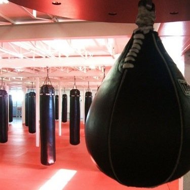 Sobekick is the boutique boxing studio that will give you the hard-core, dirty workout you are craving! So no excuses, SHUT UP & SWEAT! 510-858-5051