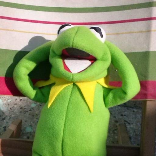 Meme De La Rana Rene Ranas Memes De La Rana Chistes Para Amigos