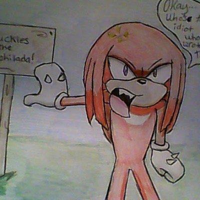 My Name Is Knuckles The Echidna I Love Playing Video Games Called The Master Emerald.
