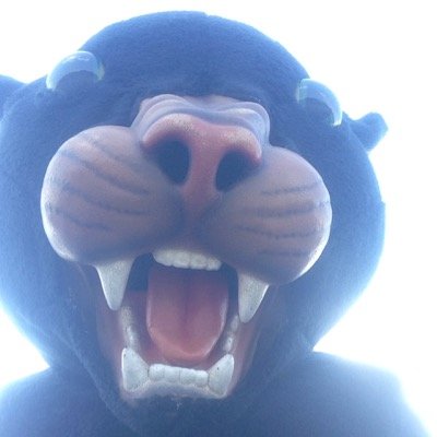 PHS_MASCOT's profile picture. The Official mascot of Park Hill South High School.  Look here for tweets for games, scores, and game theme.