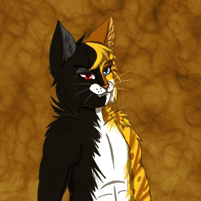 I'm a hench cat for the Big Boss Macavity. Don't mess with me, and i won't re-arrange your face. {Hench|CatsRP}