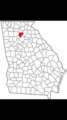 ForsythTruth's profile picture. The truth always comes out