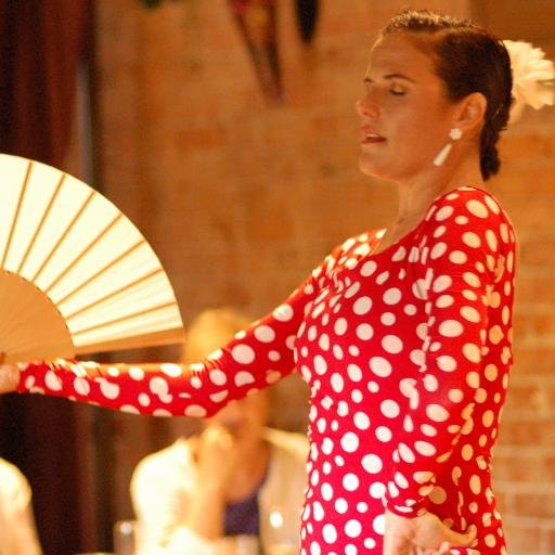 The most passionate, powerful and challenging dance now in Columbus, OH. We offer flamenco dance instruction and performances in Ohio.